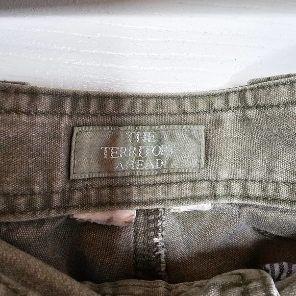 The Territory Ahead Cargo Men's Shorts 30" Light Green - Picture 5 of 5